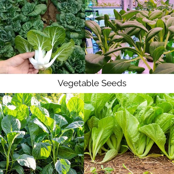 Local Vegetable Seeds Bundle for Hydroponics Soil and Aeroponics