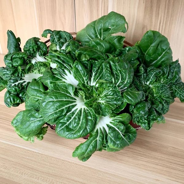 Local Vegetable Seeds Bundle for Hydroponics Soil and Aeroponics