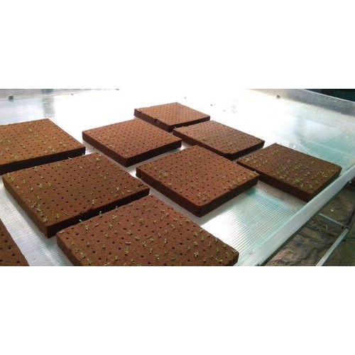 64461ddc70377db5cc1fa278f6ec6e1f Oasis Cubes for Hydroponics Aeroponics Aquaponics