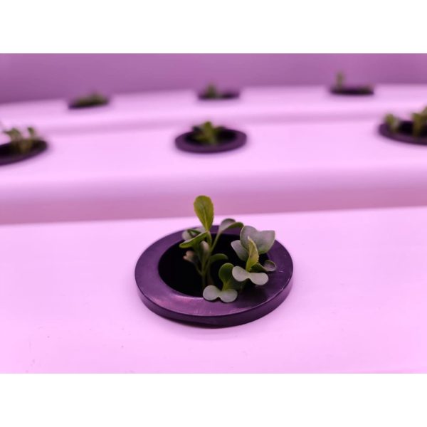 Black Net Cup 32mm for Hydroponics and Aeroponics