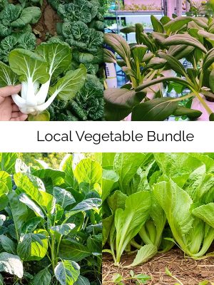 Aquarium Hydroponics Water Pump 35W 55W