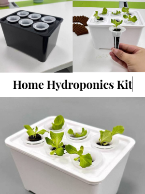Home Hydroponics Kit Shopee Placeholder Urban Green Dot Hobby Hydroponics Kit 6 Holes