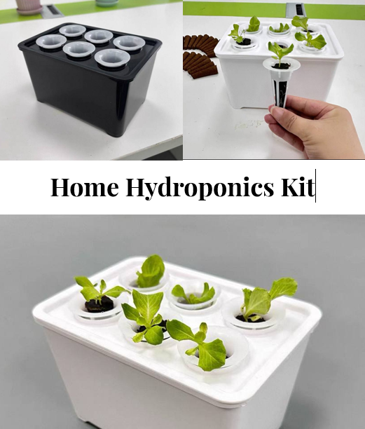 Home Hydroponics Kit Shopee Placeholder Urban Green Dot Hobby Hydroponics Kit 6 Holes