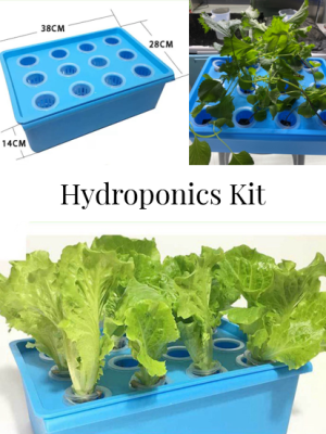 Shopee Hydroponics Kit Front Picture Hydroponics Kit for Beginners 12 Hole Easy To Grow