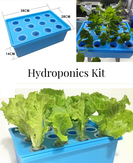 Shopee Hydroponics Kit Front Picture Hydroponics Kit for Beginners 12 Hole Easy To Grow