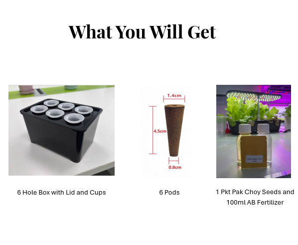 What You Will Get Urban Green Dot Hobby Hydroponics Kit 6 Holes