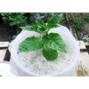 Cocopeat Perlite Bags for Hydroponics Aeroponics Gardening Soil