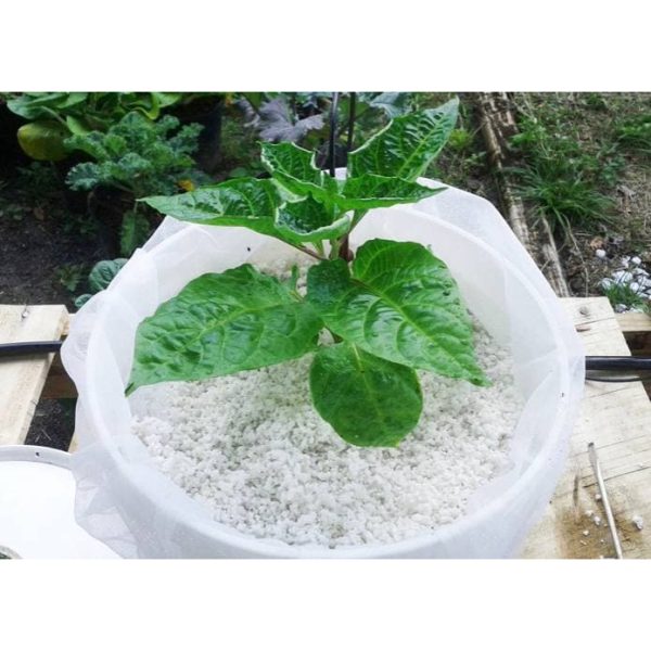 Cocopeat Perlite Bags for Hydroponics Aeroponics Gardening Soil