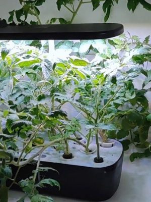 Aquarium Hydroponics Water Pump 35W 55W