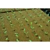 c35ae2f93d3783d6e871e65c4d49fb72 Oasis Cubes for Hydroponics Aeroponics Aquaponics