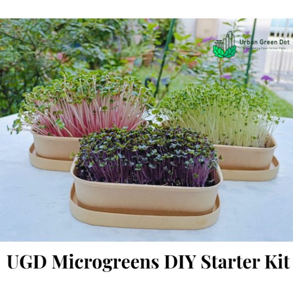 UGD Microgreens DIY Starter Kit