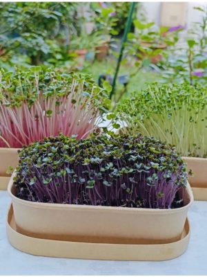 Aquarium Hydroponics Water Pump 35W 55W