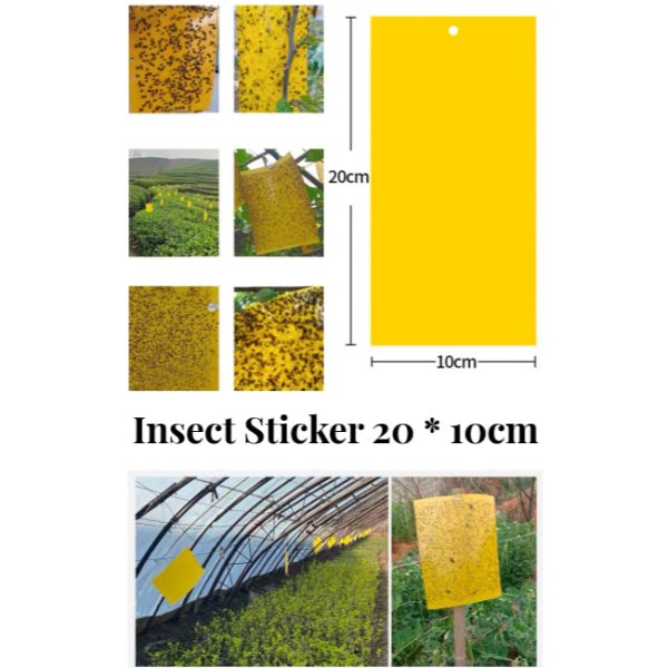 sg-11134207-7rfh7-m3ueeg409qwz93 Yellow Sticker Insect Pest Paper 20*10 Double-Sided (25 pcs)