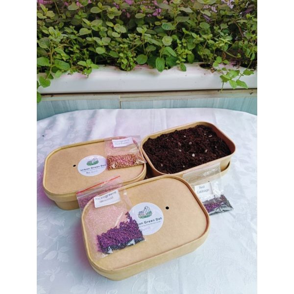 UGD Microgreens DIY Starter Kit