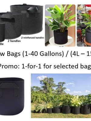 Promotion Smart Fabric Grow Bag 1-20G Pot for Better Roots