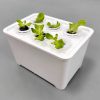 white box Transparent Net Cup for Tabletop and Hobby Hydroponics Kit (10 pcs)