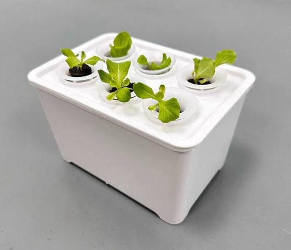 white box Transparent Net Cup for Tabletop and Hobby Hydroponics Kit (10 pcs)