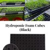 Black Foam Germination Cubes for Hydroponics Aeroponics Aquaponics (100 pcs)