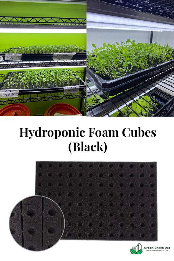 Black Foam Germination Cubes for Hydroponics Aeroponics Aquaponics (100 pcs)