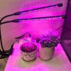grow light example 2 USB LED Grow Light Tube for Hydroponics Succulents