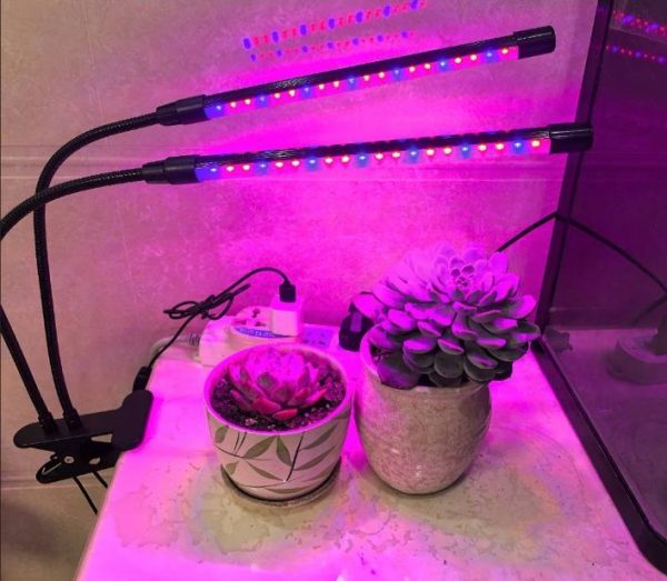 grow light example 2 USB LED Grow Light Tube for Hydroponics Succulents