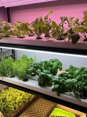 Aquarium Hydroponics Water Pump 35W 55W